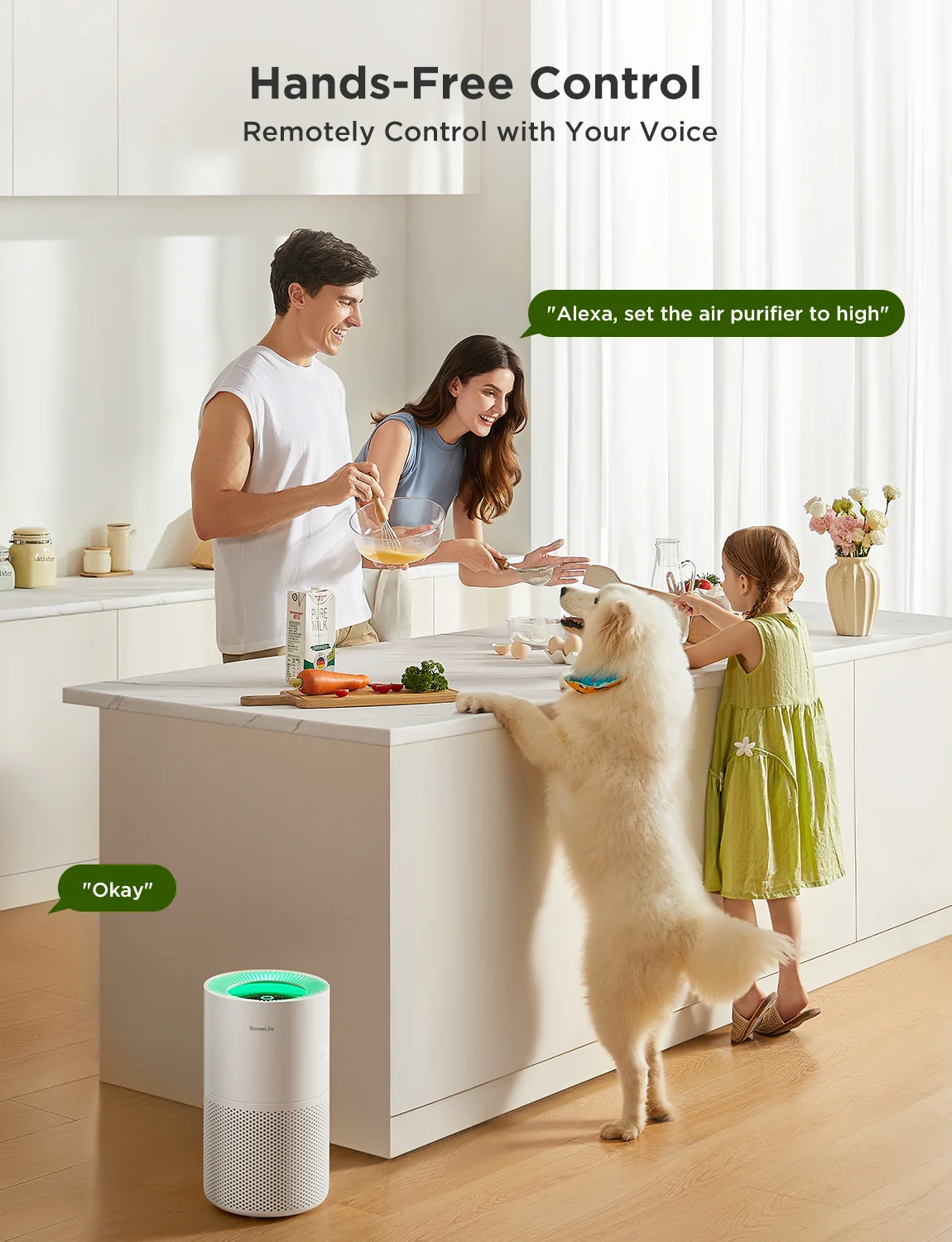 Refurbished GoveeLife Smart Air Purifier 2 Pro — Catalog Product - Image 14